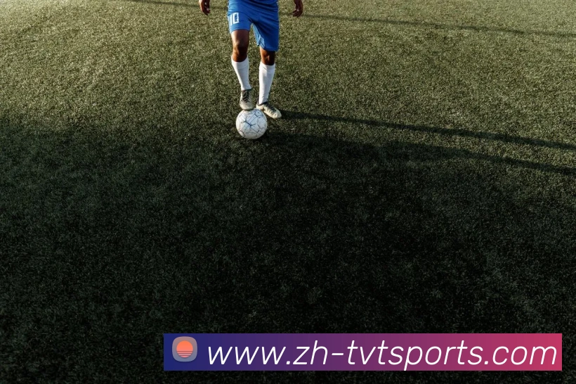 体育下注全站App